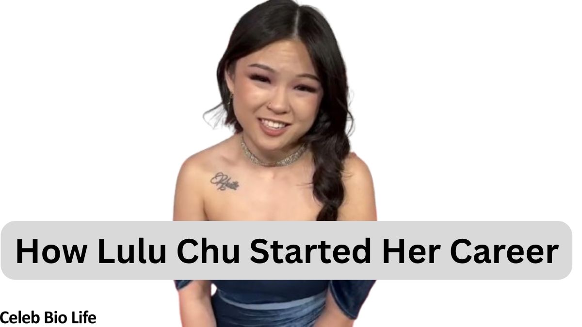 How Lulu Chu started career banner